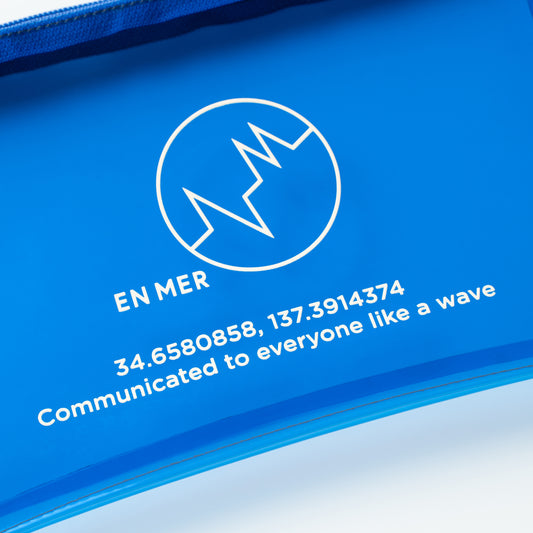 See Through Pouch (BLUE)