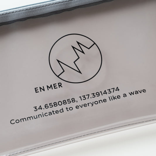 See Through Pouch (GRAY)