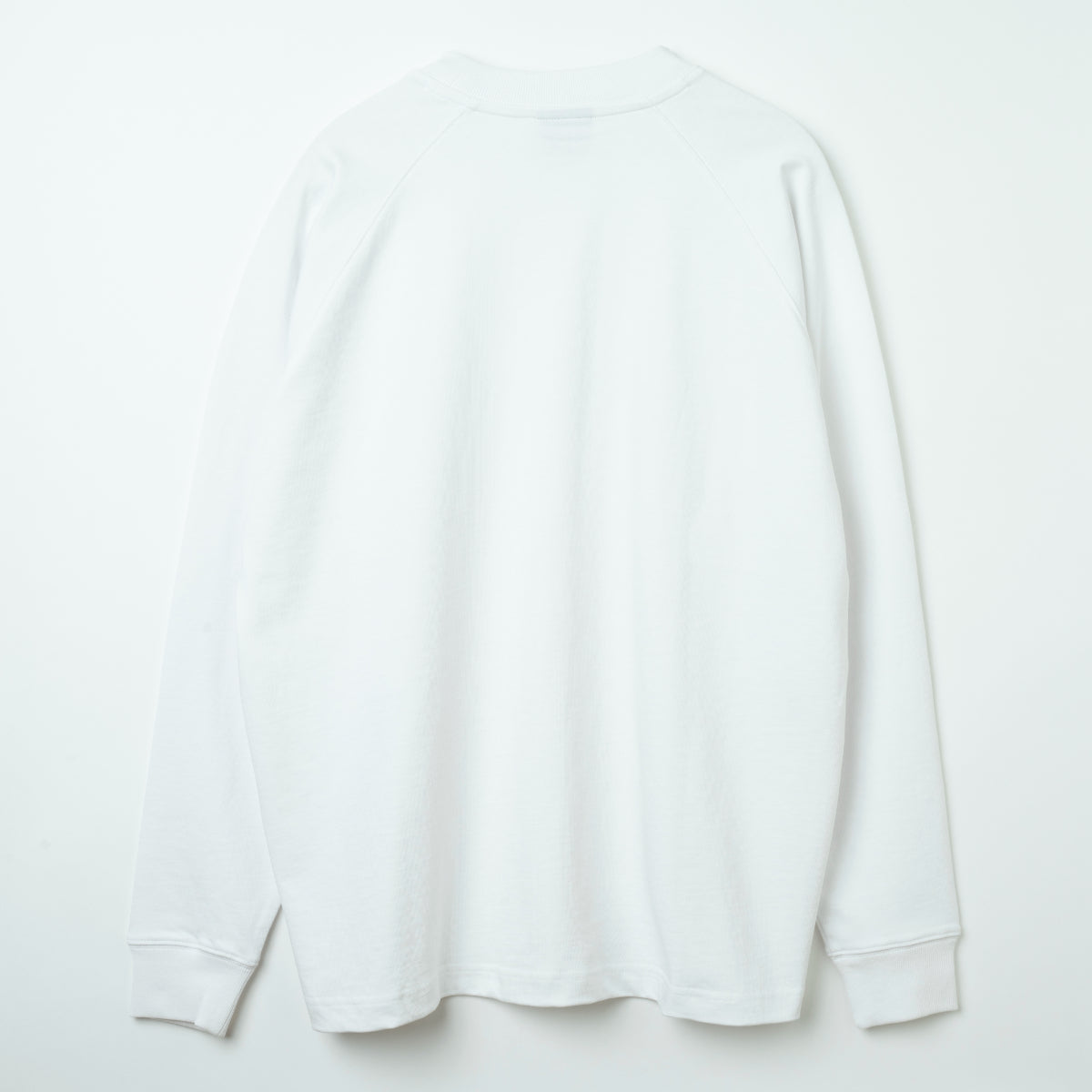 Blur Logo L/S T-Shirt White